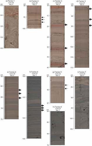 Figure 4. Representative images of sedimentary lithofacies from Units V and VI: (a) disorganized sandy–silty clay (diamict), interval 347-M0063C-38-2, 115 to 135 cm; (b) laminated fine sand and silt (Facies 2), sandy planar laminae indicated with black thin arrows, interval 347-M0063C-38-2, 90 to 100 cm; (c) sandy silt/clay couplets (Facies 3) with thickness of 30 to 60 mm, boundaries indicated with black arrows, interval 347-M0063C-38-2, 10 to 40 cm; (d) sandy silt–clay couplets (Facies 3) with thickness of 10 to 30 mm, boundaries indicated with black arrows, interval 347-M0063C-37-2, 85 to 115 cm; (e) silt–clay couplets (Facies 4) with thickness of 20 to 30 mm, light colored silty portions are laminated, boundaries indicated with black arrows, interval 347-M0063C-30-2, 55 to 75 cm; (f) silt–clay couplets (Facies 4) with thickness of 5 to 20 mm, couplet boundaries (indicated with black arrows) can be diffuse and darker colored clay portions become thicker and massive, interval 347-M0063C-27-1, 105 to 135 cm; (g) laminated to massive silty clay (Facies 5), silty laminae indicated with black thin arrows, interval 347-M0063C-33-2, 87 to 97 cm; (h) faintly laminated clay (Facies 6), interval 347-M0063C-27-1, 55 to 70 cm; (i) deformed clay to silt–clay (Facies 7), microscale transverse fault indicated with black thin arrow, interval 347-M0063C-25-2, 80 to 105 cm. Images downloaded from the Pangaea data portal (Expedition 347 Scientists Citation2014b).
