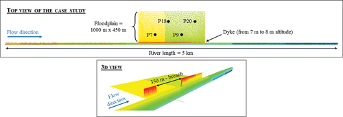 Figure 1. Illustration of the case study in 2D and 3D views. The 3D view shows the bottom mesh at the end of the simulation. The points P7, P9, P18 and P20 corresponds to the outputs of interest.