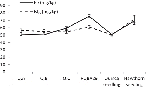 Figure 3. The effect of different rootstocks on the average of leaf iron and magnesium levels in ‘Isfahan’ quince cultivar from 2013 to 2017