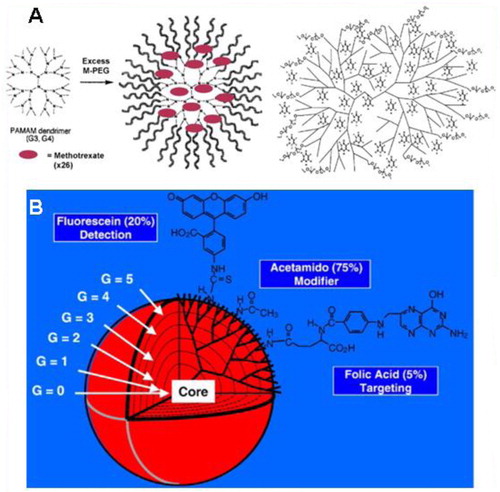 Fig. 5 (A) Schematic presentation of the encapsulation of anticancer drugs methotraxate (left) and 5-fluorouracil (right) into PEGylated generation 3 and 4 PAMAM dendrimers and (B) schematic presentation of dendrimers as nano-scaffold for the attachment of cell-specific ligands, modifiers, and fluorescence tags. Reproduced from Svenson and Tomalia, 2012 (Citation101).