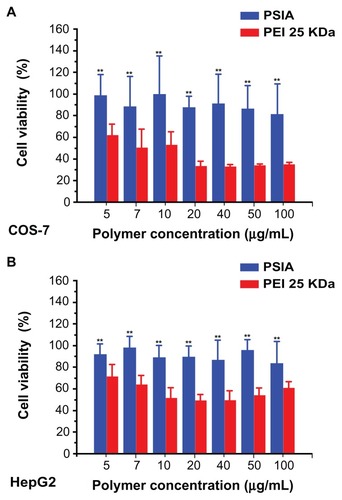 Figure 8 Viability of COS-7 cells (A) and HepG2 cells (B) treated with PSIA and PEI 25 kDa at various polymer concentrations.Note: **P < 0.01 vs PEI 25 kDa.Abbreviations: PSIA, polyspermine imidazole-4, 5-amide; PEI, polyethyleneimine.