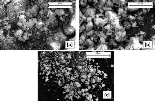 Figure 12. SEM micrographs of the dried powders precipitated by (a) NH4HCO3, (b) NaOH, and (c) C2H2O4.