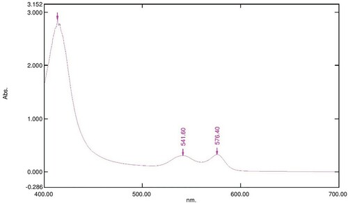 Figure 2. Absorption spectrum of 800 µl of OxyHb (16 mM) in 10 Mm phosphate buffer at pH 7.6 after 3 h incubation at 25°C.