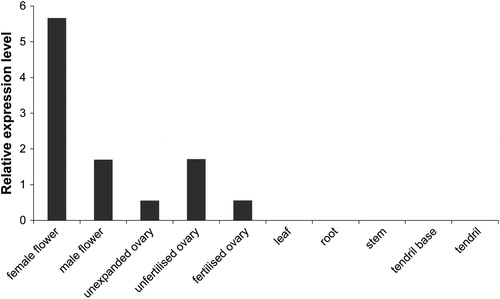 Figure 5. Expression levels of CsMADS02 in 10 different tissues of cucumber by transcriptome data. Note: The expression values are indicated as the FPKM values with no replication.