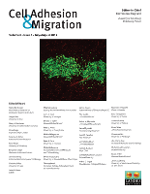 Cover image for Cell Adhesion & Migration, Volume 6, Issue 4, 2012