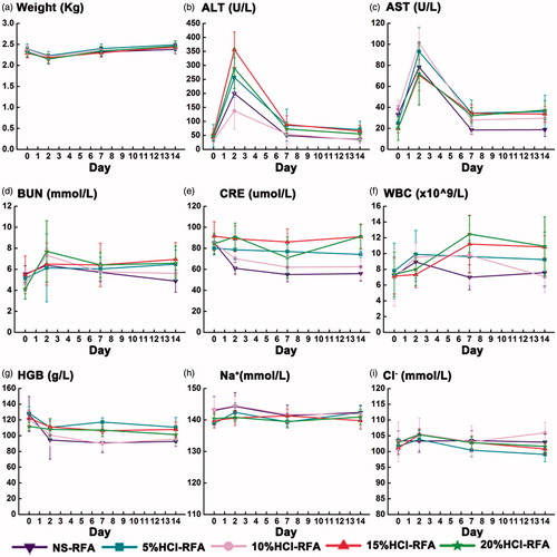 Figure 1. Trends in weight and laboratory values among 30 rabbits before and 2, 7, and 14 days after hydrochloric acid- or saline-perfused radiofrequency liver ablation (RFA). (a) In all groups, mean body weight declined 2 days after ablation and recovered 7 days after ablation; (b-c) In all groups, mean plasma alanine aminotransferase (ALT) and aspartate transaminase (AST) concentrations were elevated 2 days after ablation and returned to baseline 7 days after ablation; mean concentrations did not differ significantly between hydrochloric acid-perfused and saline-perfused control groups; (d–i) In all groups, concentrations of blood urea nitrogen (BUN), creatinine (CRE), white blood cell (WBC) counts, haemoglobin (HGB), sodium (Na+), and chloride (Cl−) were normal throughout the study.