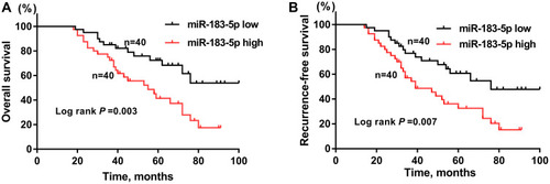 Figure 2 Osteosarcoma patients with high miR-183-5p expression (miR-183-5p high, n= 40) had worse overall survival (A) and recurrence-free survival (B) than those with low miR-183-5p expression (miR-183-5p low, n= 40).