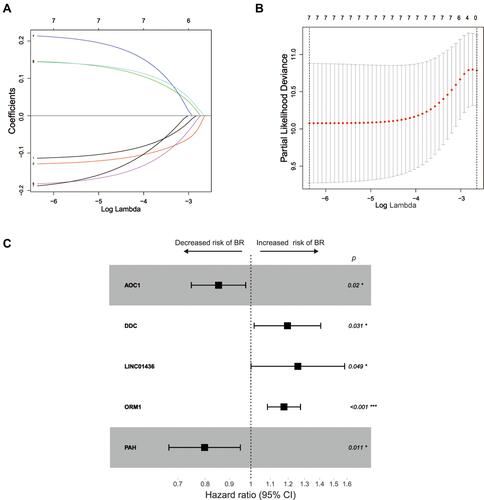 Figure 2 Construction of biochemical recurrence-related gene model. (A and B) LASSO regression was leveraged to obtain the minimum of the cross-validation error mean as the best lambda value. (C) 5 genes were included in the model of biochemical recurrence in prostate cancer. *p < 0.05, ***p < 0.001.