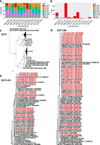Fig. 1 Enterovirus surveillance reports in Taiwan since 2005 and phylogenetic tree of Taiwanese EV-A71 full-genome sequences.a Percentages of enterovirus infections since 2005, including EV-A71 (marked in red), six CV types (A2, A4, A5, A6 A10, and A16 in different colors), EV-B (purple), and other species (gray) in Taiwan. EV-B included CV types (B1–6 and A9) and echovirus types 3, 6, 11, 18, and 30. Counts of total cases reported in each year are also shown in parentheses. b Counts of severe complications are further summarized. c Compressed ML tree of Taiwanese strains in various subgenotypes (A, B0–5, and C1–5). Significant bootstrap support values greater than 70% are indicated at major nodes. d B5 and e C4 subtrees are shown. The tip labels of the 63 strains in B5 and C4 sequenced in this study are colored in red
