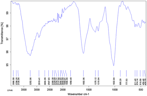 Figure 2. FTIR of spectrum CPHR.