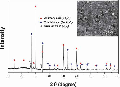 Figure 10. XRD pattern of immobilized material (inset photograph) after sintering mixture of the uranium-bearing waste and B2O3 at 1100°C.