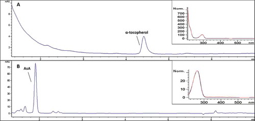 Figure 2. Chromatograms of α-tocopherol at 300 nm (a) and L-ascorbic acid (AsA) at 260 nm (b) of the sample LB 04852 (‘Elstar’ x ‘Braeburn’). Insert: UV/VIS spectra of the α-tocopherol and AsA peak of the apple pulp sample (in blue) and a reference standard solution (in red), respectively.