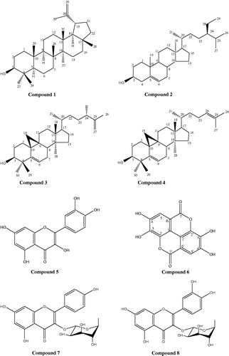 Figure 2. Structures of the isolated compounds.
