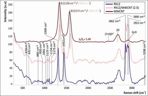 Figure 6. Raman Spectra of MWCNT, PA12 and PA12/MWCNTs nanocomposite (at 2.5% filler loading) at the spectral region of 300–3300 cm−1.