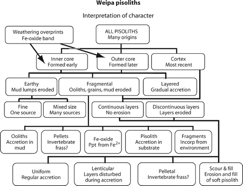 Figure 34 A genetic interpretation of the fabrics used to classify pisoliths of the Weipa Plateau.