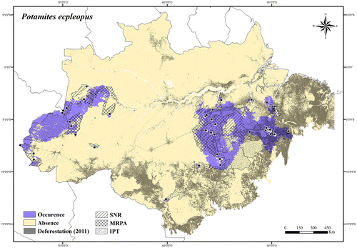 Figure 59. Occurrence area and records of Potamites ecpleopus in the Brazilian Amazonia, showing the overlap with protected and deforested areas.