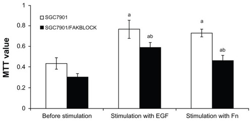 Figure 6 Analysis of MTT value of SGC7901 and SGC7901/FAKBLOCK after stimulation with EGF or Fn (χ̄ ± s, n = 5).