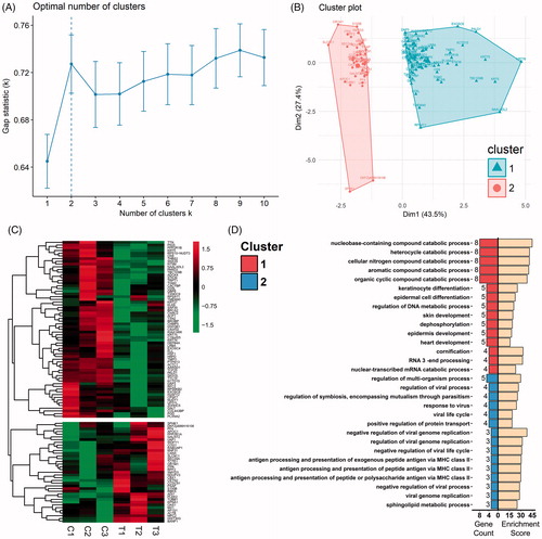 Figure 5. Clustering analysis of the DEPs and GO-BP enrichment of clusters. (A) The optimal cluster number was evaluated with use of gap statistics. Dashed line indicates the optimal k value of 2. (B) K-means clustering analysis of DEPs applying optimal k value revealed 2 distinct clusters, with triangles indicating Cluster 1 and spots Cluster 2. (C) Hierarchical clustering analysis of DEPs applying the optimal k value. ‘C’ Refers to the 37 C control groups whereas ‘T’ refers to the 44 C hyperthermia groups. Gene symbols of DEPs are illustrated on the right side. (D) Biological process terms of the top 15 gene count in the GO-BP enrichment analysis for Cluster 1 (top 15 bars on the left) and Cluster 2 (bottom 15 bars on the left). Bars on the right represent respective enrichment scores (−log10 (p values) ×10).