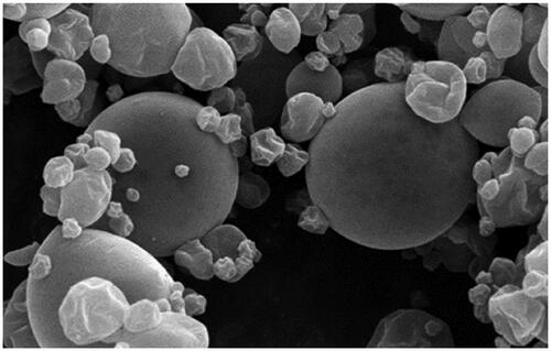 Figure 1. Scanning electron micrographs of the microcapsules containing EO blend.
