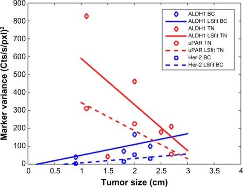 Figure 1 Comparison of expression heterogeneity using the distribution variance with patient tumor size for the markers: ALDH1, uPAR, and Her-2.