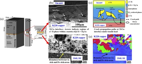 Figure 11. An LPBF-printed Ti6Al4V/Hovadur® K220 copper/316L SS multi-material part: (a) schematic of the part and tensile samples, (b) backscatter electron image and (c) illustration of fracture paths within the Ti6Al4V/K220 copper interface, (d) backscatter electron image and (e) inverse pole figure of the K220 copper/316L SS interface (Tey et al. Citation2020).