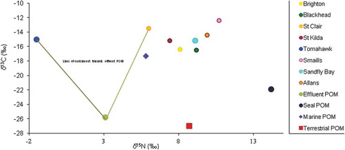 Figure 4. Comparison of carbon and nitrogen-stable isotopic ratios in the tissues of Ulva lactuca and particulate materials collected in 2001 along the Otago coastline, New Zealand.