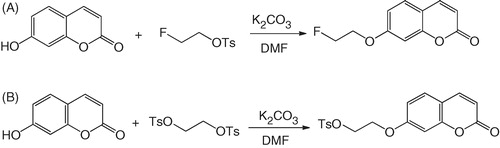 Scheme 1. Synthesis of (A) FEC and (B) its radiolabeling precursor 7-(2-tosyloxyethoxy)coumarin.