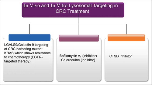 Figure 13. Lysosomal targeting strategies in in vitro and in vivo models for CRC therapy. All chemical compounds, drugs, and inhibitors have been introduced in the section “Cancer therapy using lysosomal targeting.”