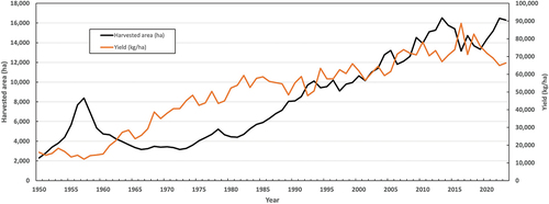 Figure 2. California strawberry fruit producing hectarage and yield per hectare from 1950 – 2022.