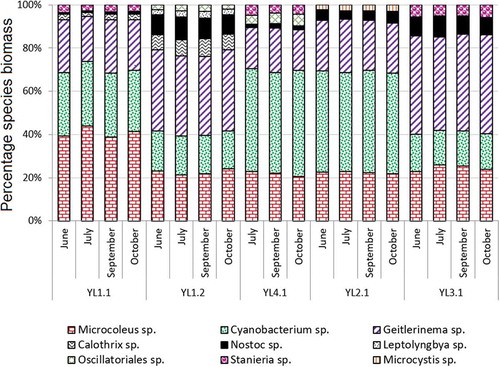 Fig. 2. Percentages of cyanobacterial communities in the different microbial mats.