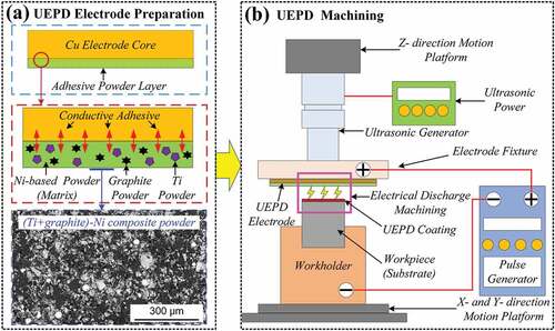 Figure 1. Schematic diagram of the fabrication process of UEPD coatings: (a) the UEPD electrode preparation; (b) the process of UEPD machining.