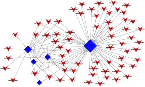 Figure 8 lncRNA-TF network visualized by hypergeometric distribution analysis. The top 100 lncRNA-TF relationships sorted by p-value were selected to construct a dyadic relationship network. The blue and red nodes represent the TFs and lncRNAs, respectively.