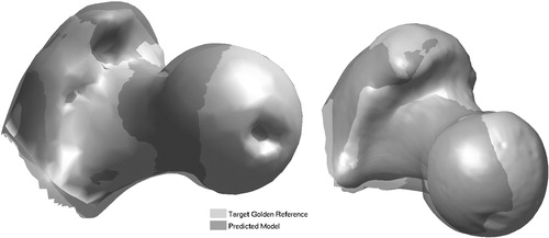 Figure 5. Pointer-based prediction: predicted models overlaid onto ‘gold’ references. Bone 1 (left): mean error = 1.76 mm; and Bone 2 (right): mean error = 2.78 mm.