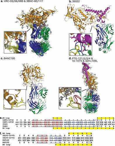 Figure 8. Alignment of a subset of gp120 binding HIV-1 bNAbs representing all unique DE loop sequences