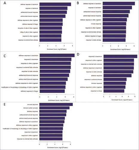 Figure 5. GO analysis for differentially expressed genes between non-responders and responders at 5 different time points. (A-E)The top 10 biological process of DEGs at the time point of pre-vaccination, 3rd, 7th, 28th day post the first dose vaccination and 7th day post the second dose vaccination, respectively.