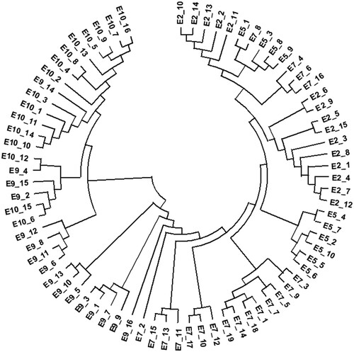 Figure 5. Phylogenetic tree of gp160 sequences derived from subject E. The data are adapted from a previous publication [Citation8].