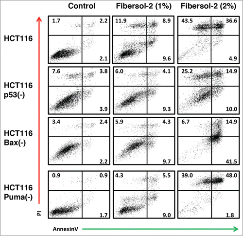 Figure 2. Fibersol-2 induces apoptosis of Isogenic HCT116 cell lines. Parental and 3 different isogenic knockout HCT116 cell lines (p53(-), Bax(-), and Puma(-)) were treated with vehicle only (1 × PBS, control), 1% or 2% Fibersol-2 (in 1X PBS). After 24 h, cells were harvested and analyzed of apoptotic cell population by double staining with PtdIns/annexinV as described in M&M. Figure was representative of 3 independent experiments.