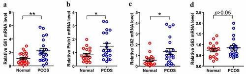 Figure 4. Expression of Hh family members in GCs from PT and control Group. (a)–(d) represent Gli, Ptch1, Gli2 and Gli3 mRNA levels form GCs between normal and PCOS. The red circle represents the normal group (Normal), and the blue circle represents the experimental group (PCOS). p-Values were determined by Student’s t-test, *p < 0.05, **p < 0.01