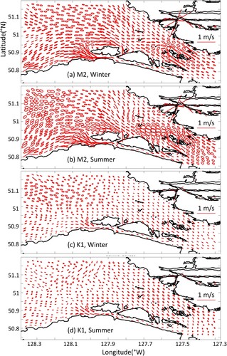 Fig. 9 Tidal ellipses (M2 and K1) of surface flow in the winter (a, c) and summer (b, d) 2019 simulations.