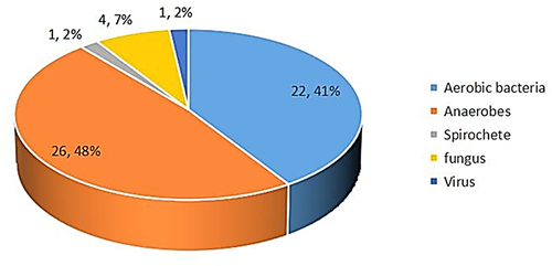 Figure 3 Pathogen composition detected by mNGS.