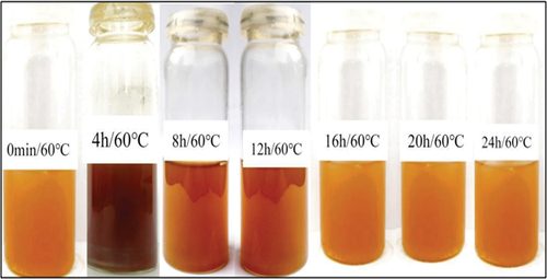 \Plate 4. Reaction mixtures after placing them at 60°C for seven different time intervals.