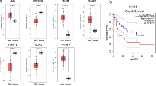 Figure 7 Survival analysis and validation of the 7 genes. (a) mRNA expression levels of 7 hub genes.*p<0.05. (b) The overall survival analysis of RAD51 related to AML patients. P < 0.05.