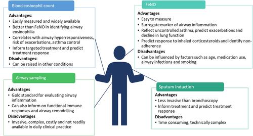 Figure 1 Advantages and disadvantages of commonly used asthma biomarkers.