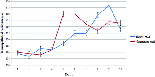 Figure 1. Transepithelial resistance of Best1 transfected and non-transfected MDCK II cell lines. The first few days (first–fourth day) both cell lines showed similar values ​​(about 110 Ω) of transmembrane resistance. On the fifth day, the non-transfected cells showed maximum value ​​(about 140 Ω) of epithelial resistance, corresponding to the formation of monolayer. The transfected cells showed maximum value of transepithelial resistance on the ninth day of their cultivation. Each value represents the mean ± standard error of the mean (SEM) (n = 3), and P > 0.05 for fourth day and P < 0.001 for fifth day.