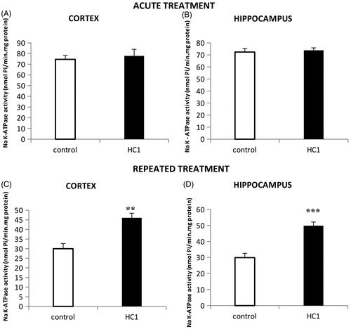 Figure 2. Effects of HC1 (360 mg/kg, p.o.) acute treatment (a single administration) on Na+, K+ ATPase activity in the cerebral cortex (A) and in the hippocampus (B) of mice. Panels C and D shows the effects of HC1 (360 mg/kg, p.o.) repeated treatment on Na+, K+ ATPase activity in the cerebral cortex and in the hippocampus of mice. Results expressed as mean ± SEM (t-test). **p < 0.01 and ***p < 0.001 compared to control groups.