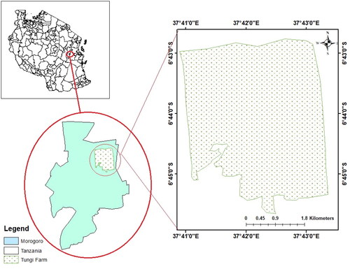 Figure 1. Study area.