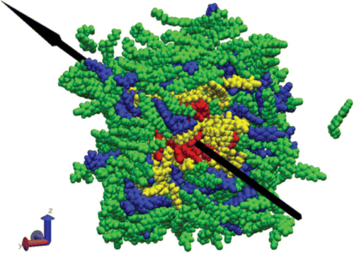 Figure 4. MD snapshot of the E7 mixture (the black arrow represents the nematic ‘mean director’).