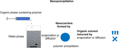 Figure 5 Schematic illustration of the nanoprecipitation method. Nanocarriers are formed by polymer precipitation caused by organic solvent removal by evaporation or diffusion. Data from Weiss et alCitation11 and Keech et alCitation13.