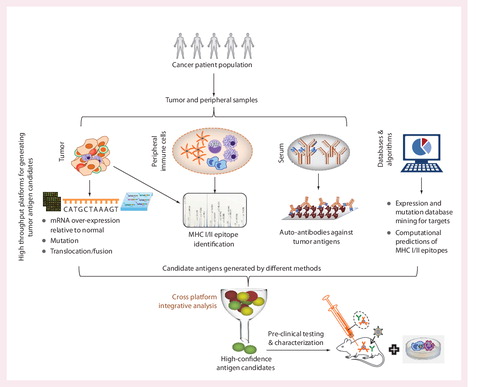 Figure 2. A conceptual integrated framework for the discovery of antigens from omics studies in cancer patients, database mining and algorithmic predictions of immunogenicity.A number of platforms can be applied to study both tumor and peripheral samples. Since the omics platforms can have a high false discovery rate, integration of data across orthogonal platforms can enable rapid discovery of antigens that have a higher probability of validation in subsequent preclinical testing.