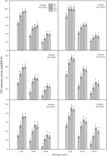 Figure 4. Changes in root TTC reduction activities in the 0–60-cm soil layers after anthesis of different treatments in the 2012–2013 and 2013–2014 growing seasons. The same letter in the figure is not significant different at p = 0.05 by LSD test. Vertical bars are standard errors.